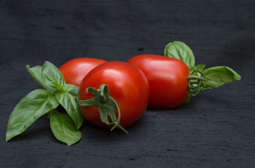 Three Ripe Roma Tomatoes with Two Sprigs of Fresh Basil on Black Background