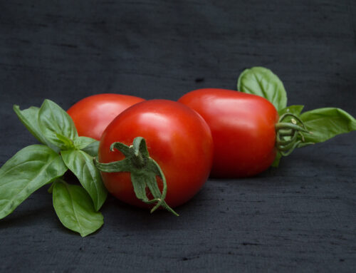 Roasted Roma Tomatoes